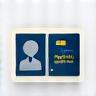 Icon representing golden visa programs
